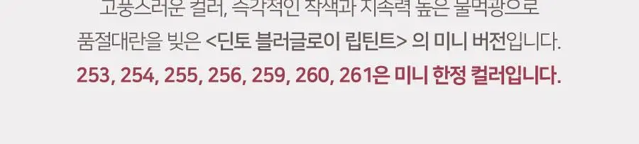 [미니] 딘토 블러글로이 미니 립틴트 10종 상세페이지 13
